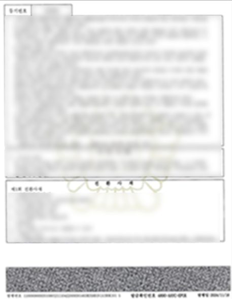 법인 등기사항전부증명서 (내용 가림)